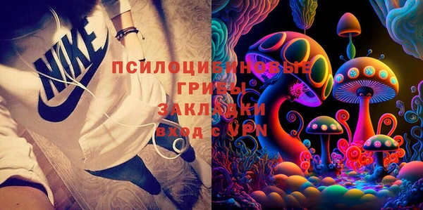 спиды Козельск