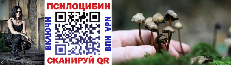 Псилоцибиновые грибы прущие грибы  как найти закладки  Судак 